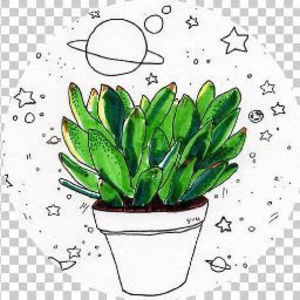 Meet your Posher, Malorie